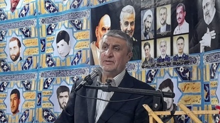 Shefi i AEOI: Arroganca globale i frikësohet fuqisë së kapacitetit të industrisë bërthamore të Iranit