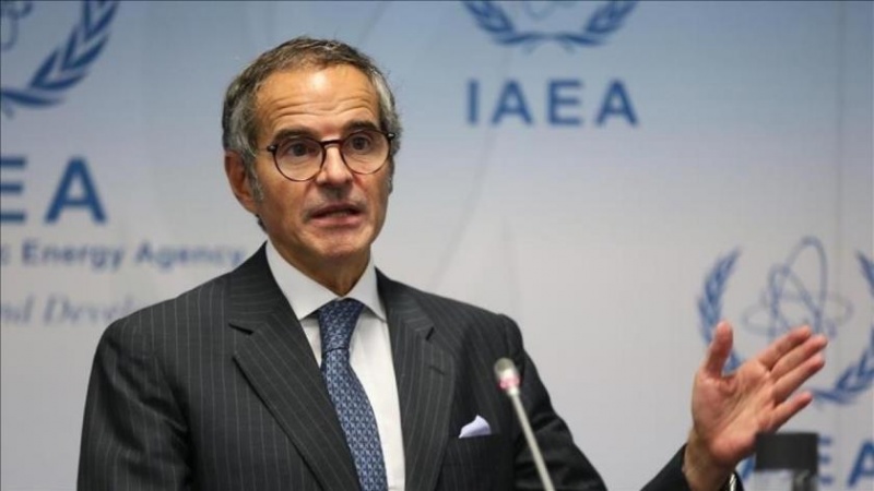 Rafael Grossi, Direktur Jenderal Badan Energi Atom Internasional (IAEA)