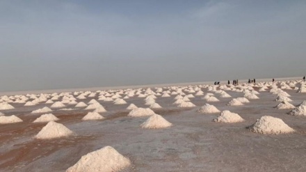 اوس مهال په افغانستان کې د مالګې ۲۵۰ کانونه فعال دي