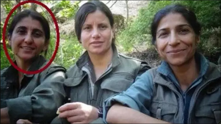 MİT operasyonunda PKK'nın İran sorumlusu etkisiz hale getirildi