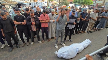 গাজায় ফের ইসরাইলি হামলায় নিহত ৭