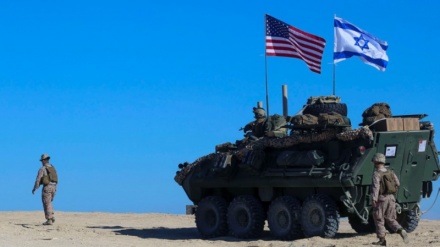 The role of the US in Israel's crimes: partner, arms supplier or employer