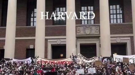 Kwa nini utawala wa Trump umebatilisha kibali cha Chuo Kikuu cha Harvard cha kuandikisha wanafunzi wa kigeni