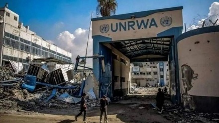 Բրիտանիան դեմ է UNRWA-ի գործունեությունը կասեցնելու Իսրայելի որոշմանը