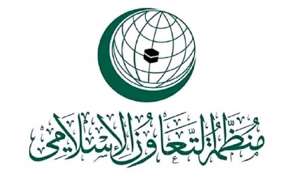 OIC yalaani jinai za Israel kaskazini mwa Ukanda wa Gaza