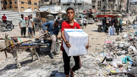 Viti i dhimbjeve, Palestina e gjakosur