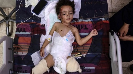 কেন ফিলিস্তিনের নতুন প্রজন্মগুলোয় ইসরাইল-বিরোধিতা আরও তীব্র হবে? 