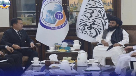 تاکید طالبان بر تسریع در اجرای طرح خط لوله تاپی