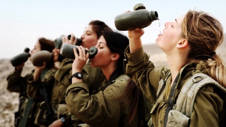 Jewish historian: Israelis lacking feeling towards crimes/ Similarity of Israeli army to Nazis