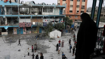 הארגון האסלאמי הבינלאומי לחינוך: מגנים את התקיפות על מוסדות החינוך בעזה ובלבנון