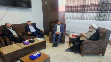 تأکید سازمان فرهنگ و ارتباطات اسلامی بر ضرورت توجه بیشتر به افغانستان