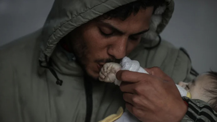 31 dëshmorë në sulmin izraelit në orët e para të mëngjesit të sotëm në Gaza