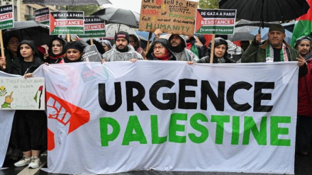 Զանգվածային ցույցեր Ֆրանսիայում՝ ի աջակցություն Լիբանանի և Պաղեստինի ժողովուրդների 