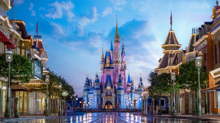 Mbyllet Disney World, shkaku?!