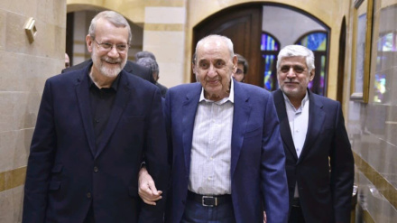 יועצו הבכיר של מנהיג המהפכה: אנו תומכים בממשלה וההתקוממות הלבנונית