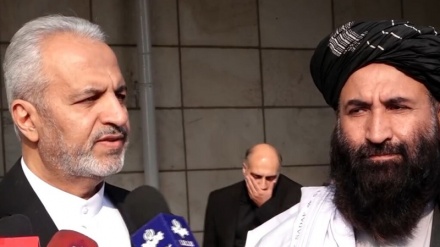 سرپرست جدید سفارت ایران در کابل: مهاجرین قانونی روی چشم ما جا دارند اما غیرمجازها باید بروند