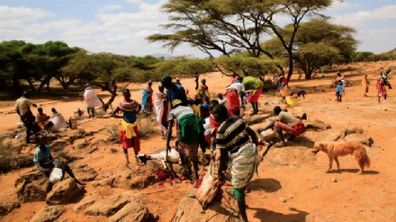 Kaunti 4 za Kenya zinakabiliwa na ukame mkubwa na janga la njaa