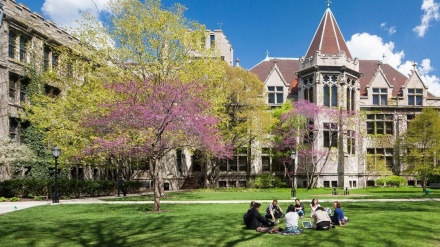 Zyrtari i Universitetit të Çikagos jep dorëheqjen për shkak të mbështetjes së tij për Palestinën

