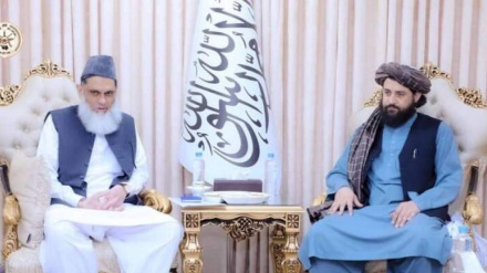 له پاکستان سره په بېلابېلوبرخوکې د هراړخیزوملګرتیاؤلپاره افغانستان تیار دی 