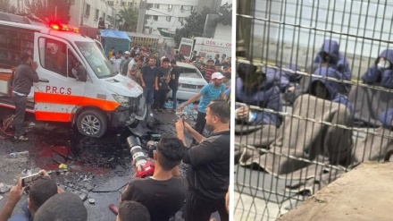 د اسرائيلو په بندونوکې له شهادته مخکې د فلسطین د روغتوني مسئولانو شکنجه کول 