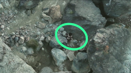 پاکستان یو ځل بیا  دافغانستان له حدودو د ترهه ګرو داستفادې د دریدا غوښته وکړه