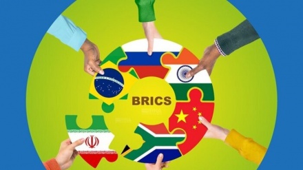 Pritet të zhvillohet konkursi i vendeve të BRICS për projektet e grave në fushën e ekologjisë së të ardhmes së gjelbër

