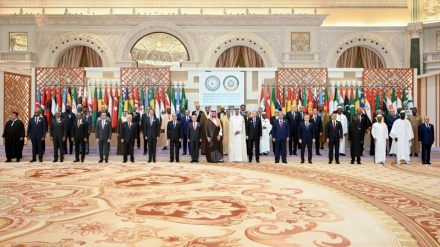 What did heads of states say at OIC and Arab League meeting? + Social media users' criticisms