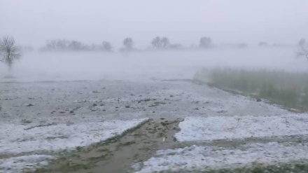 بارندگی شدید در ننگرهار خسارات جانی و مالی برجای گذاشت