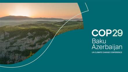 Transparency Int. Բաքուն COP29-ը կօգտագործի որպես քողարկում` իր շահերն առաջ մղելու համար