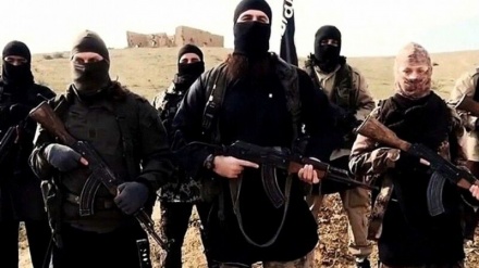 داعش تکفیری ډلې په پاراچنار کې د شیعیانو په ضد د حملو دزیاتولوخبرداری ورکړ