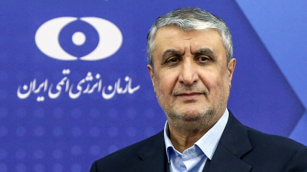 İslami: BAEA-nın baş direktoru bu qurumun neytrallığını qorumalıdır
