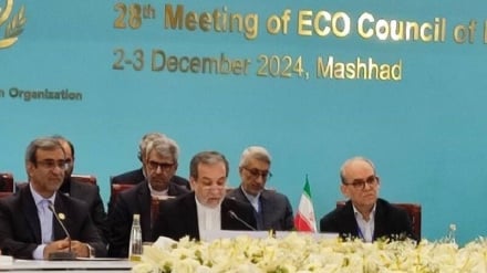 Aragçi EKO-ny has-da pugtalandyrmagy we ykdysady hyzmatdaşlygy giňeltmegi nygtady