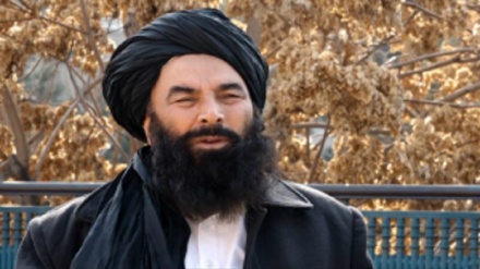  یک رهبر پیشین طالبان: برای حل بحران تحصیل جرگه آموزشی تشکیل شود