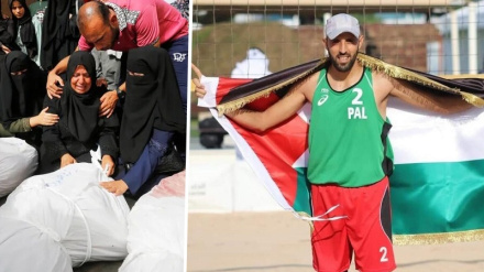 Over 600 athletes killed in Gaza by Israel