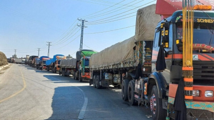 صادرات افغانستان در شش ماه نخست امسال کاهش یافته است