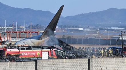 Rrëzohet një avion në Korenë e Jugut