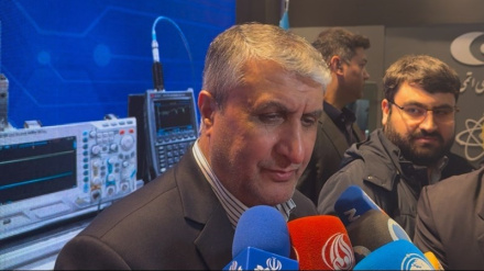 Ислами: Ядерная деятельность Ирана находится в рамках международного агентства