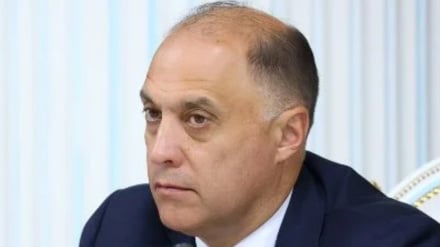 Վոլֆովիչը մեկնաբանել է Հայաստանի բացակայությունը ՀԱՊԿ գագաթաժողովում