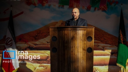 Galibaf wagşy çagalary öldürýän sionistlere garşy durmagy nygtady