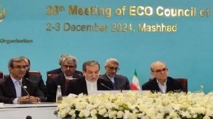 עראקצ'י מדגיש את חיזוק ECO והרחבת שיתוף הפעולה הכלכלי