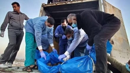 Amnesty International: Lufta e Izraelit në Gaza përbën gjenocid