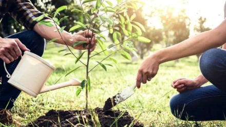 Kişfərədə bə i milyard do kaştey plani nevbəti mərhələ start doey bıə