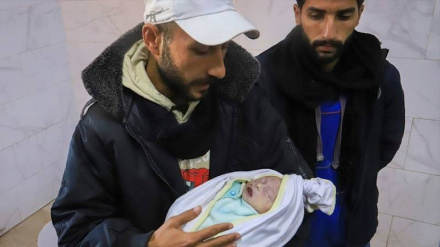 Martirizohen 50 persona duke përfshirë dhe 5 anëtarë të stafit mjekësor të Spitalit Kamal Adwan