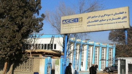اتاق تجارت افغانستان: توقیف‌ها و تحریم‌ها سرمایه‌گذاری را در کشور دشوار کرده است