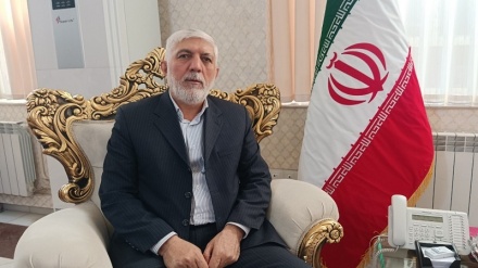 سرمایه گذاران افغانستانی سرمایه گذاری در داخل افغانستان را در اولویت کار خود قرار دهند
