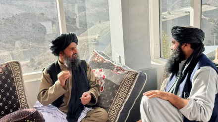 د افغانستان د طالبانو  د مشرانو  تر مینځ هیڅ اختلافات نشته