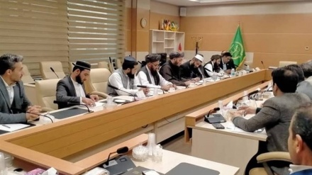 افغانستان  د کرهڼې په زمینې کې د ایران له  تجروبو استفاده کوي