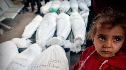 ত্রাণের জন্য দাঁড়িয়ে থাকা ফিলিস্তিনিদের ওপর ইসরাইলি হামলা, নিহত ১০০