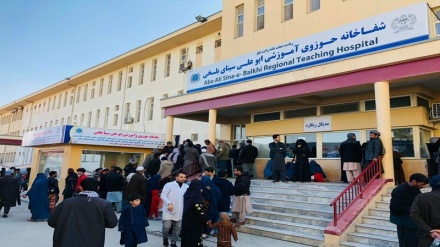 هشدار مسئولان شفاخانه ابوعلی سینای بلخی از افزایش بیماران کلیوی