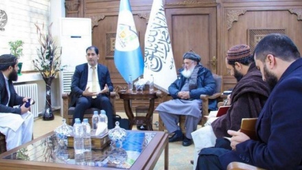 آمادگی عمان برای سرمایه‌گذاری در تولید انرژی خورشیدی در افغانستان